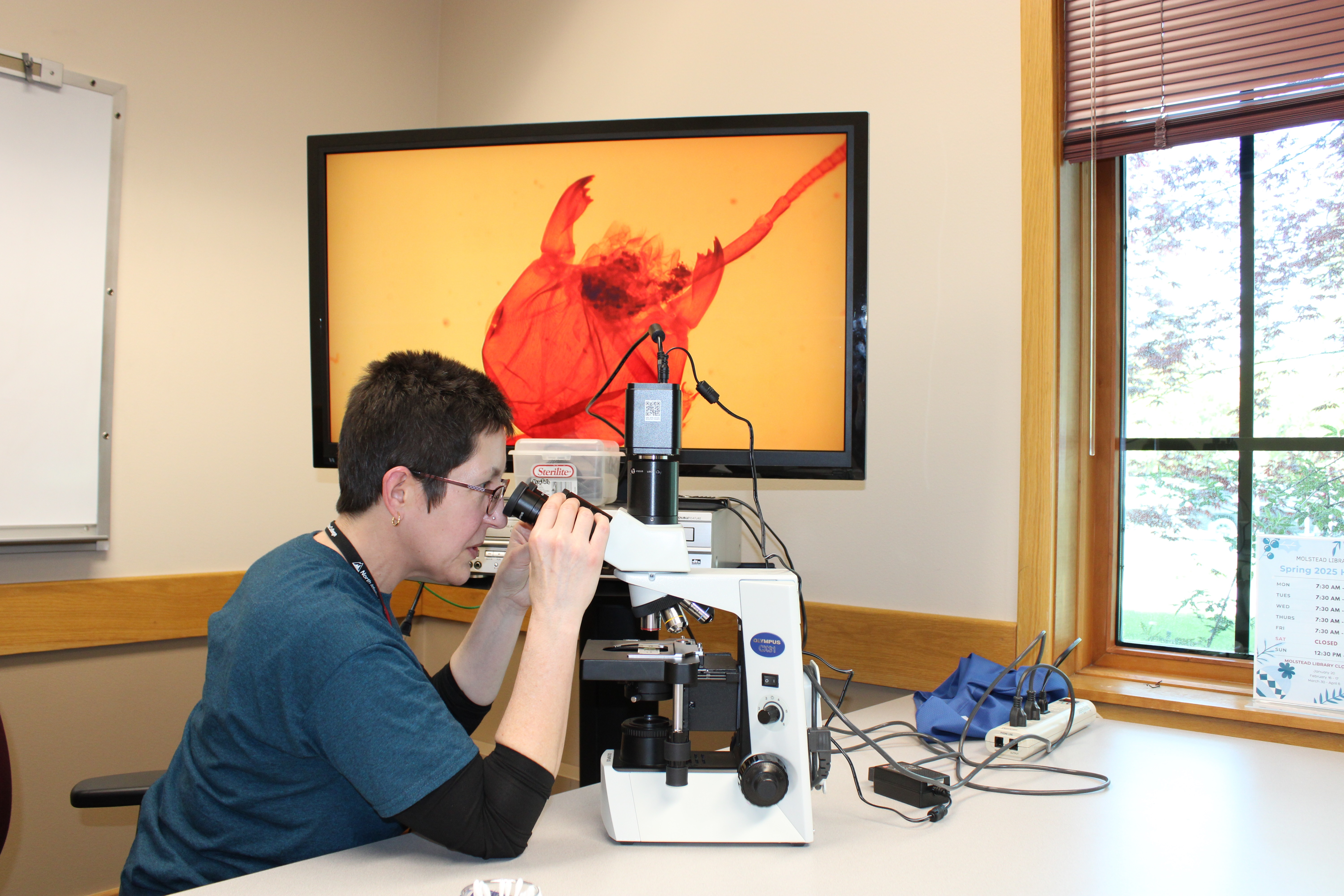 Patty Maloney looking in a microscope